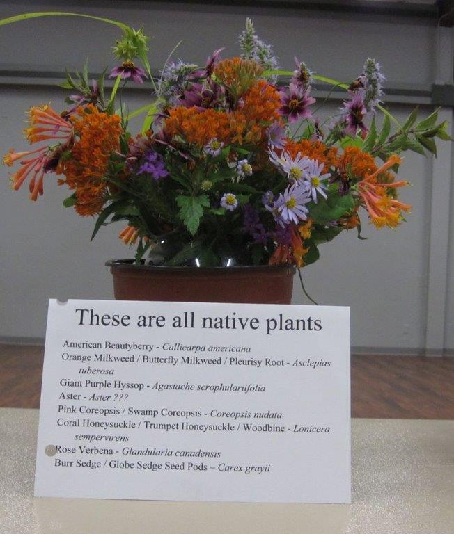 Native Plants Program at the O'Fallon Garden Club in O'Fallon, Illinois