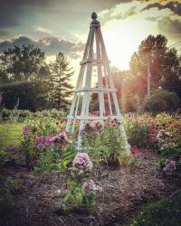 O'Fallon Garden Club