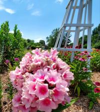 O'fallon Community Garden