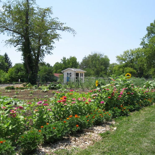 Community Garden