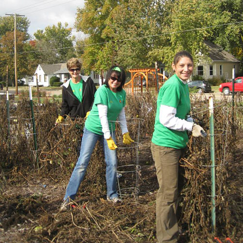 Fall Clean Up