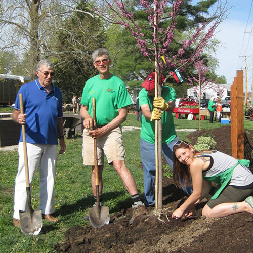 Arbor Day and Apiary