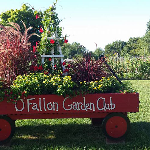 Community Garden