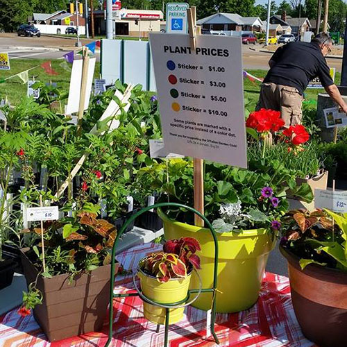 Spring Plant Sale