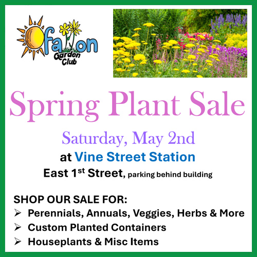 View Events From the O'Fallon Garden Club in Ofallon IL